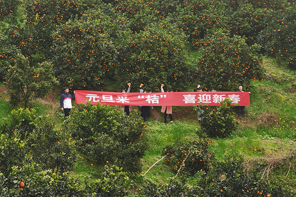 1577944889396944.jpg 修改照片1.jpg