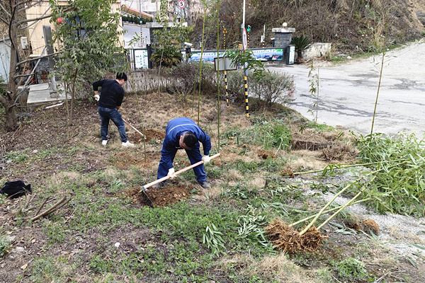 1713419711313769.jpg 2.jpg