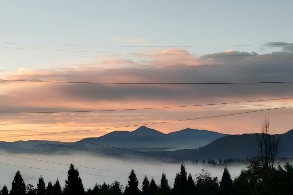 1763453697589770.jpg 2.jpg